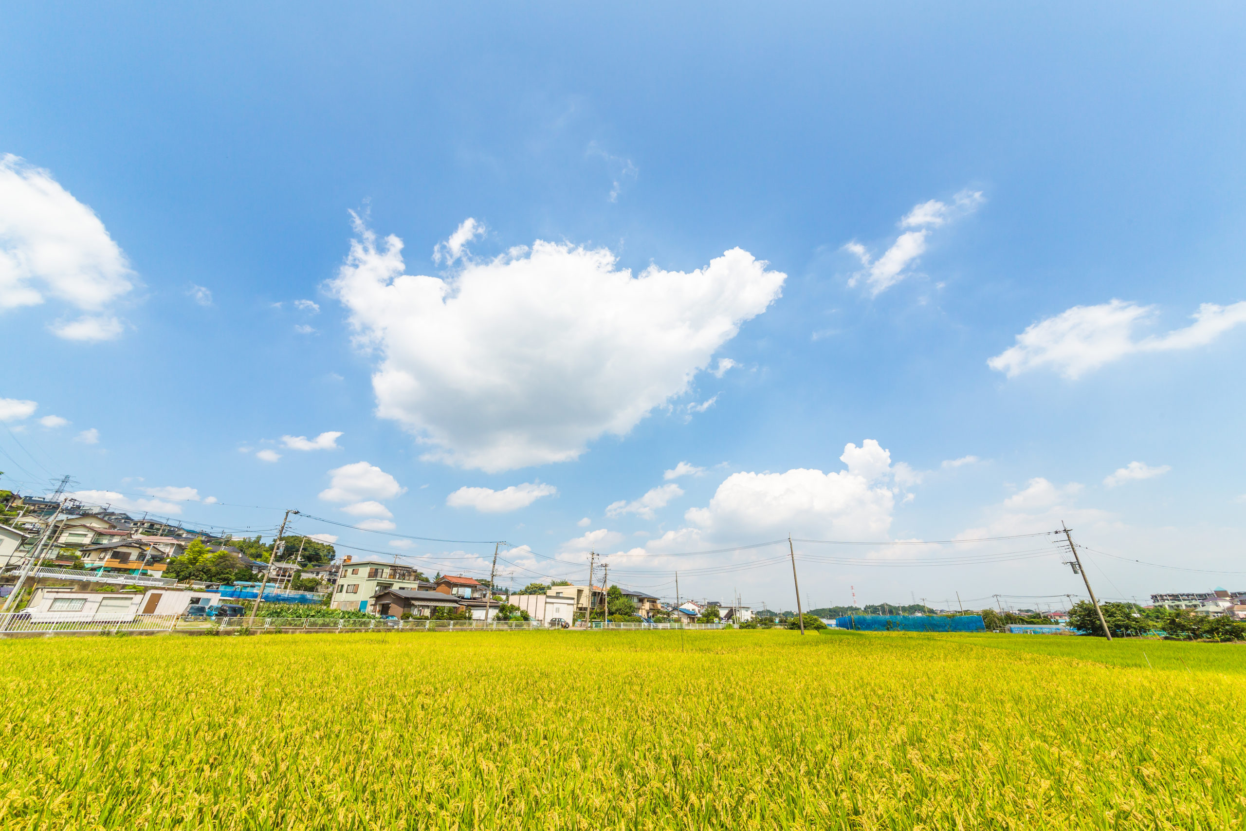 近年追加された田園居住地域について